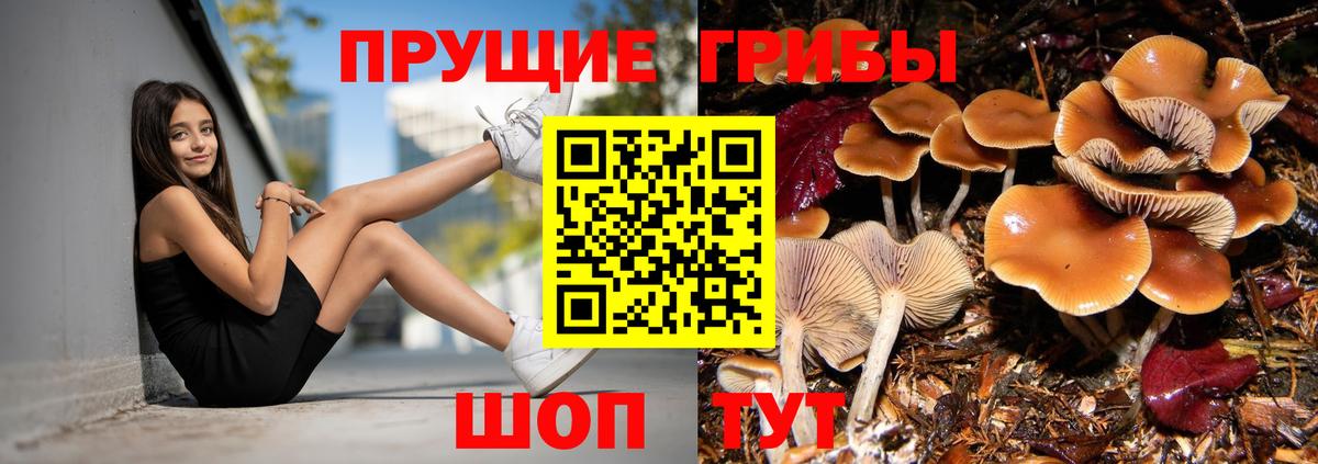 Галлюциногенные грибы Cubensis  Псилоцибиновые грибы ЛСД  Вход с VPN  Саров 