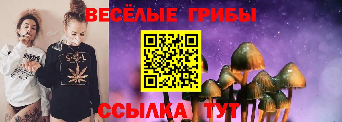 Псилоцибиновые грибы Psilocybine cubensis Саров